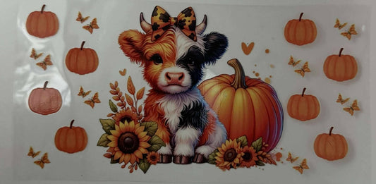 FALL COW AND PUMPKINS